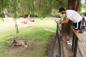 DAY 8 ADELAIDE INTERNATIONAL 2022